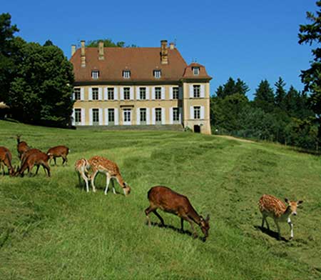 camping parc animalier Vendée